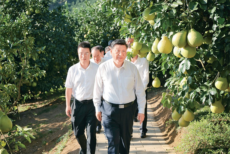 图片4